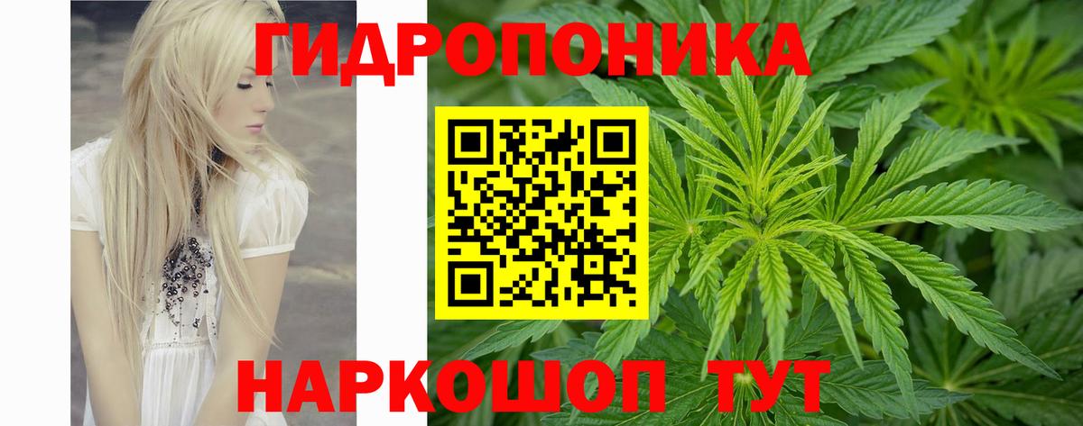 МАРИХУАНА OG Kush Коряжма